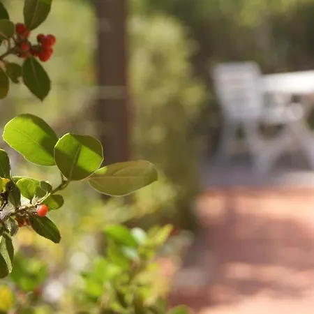 Gabbiano דירה מרינה די קמפו