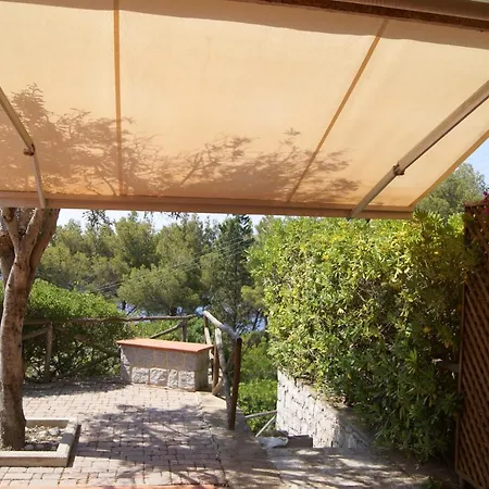 Gabbiano