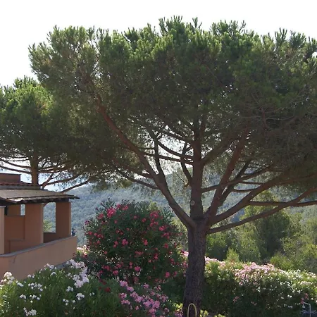 Gabbiano Marina di Campo