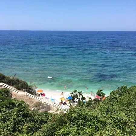 Gabbiano *