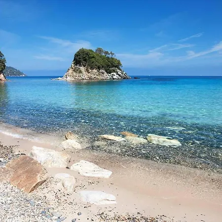 Gabbiano