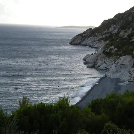 Gabbiano *