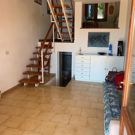 Gabbiano